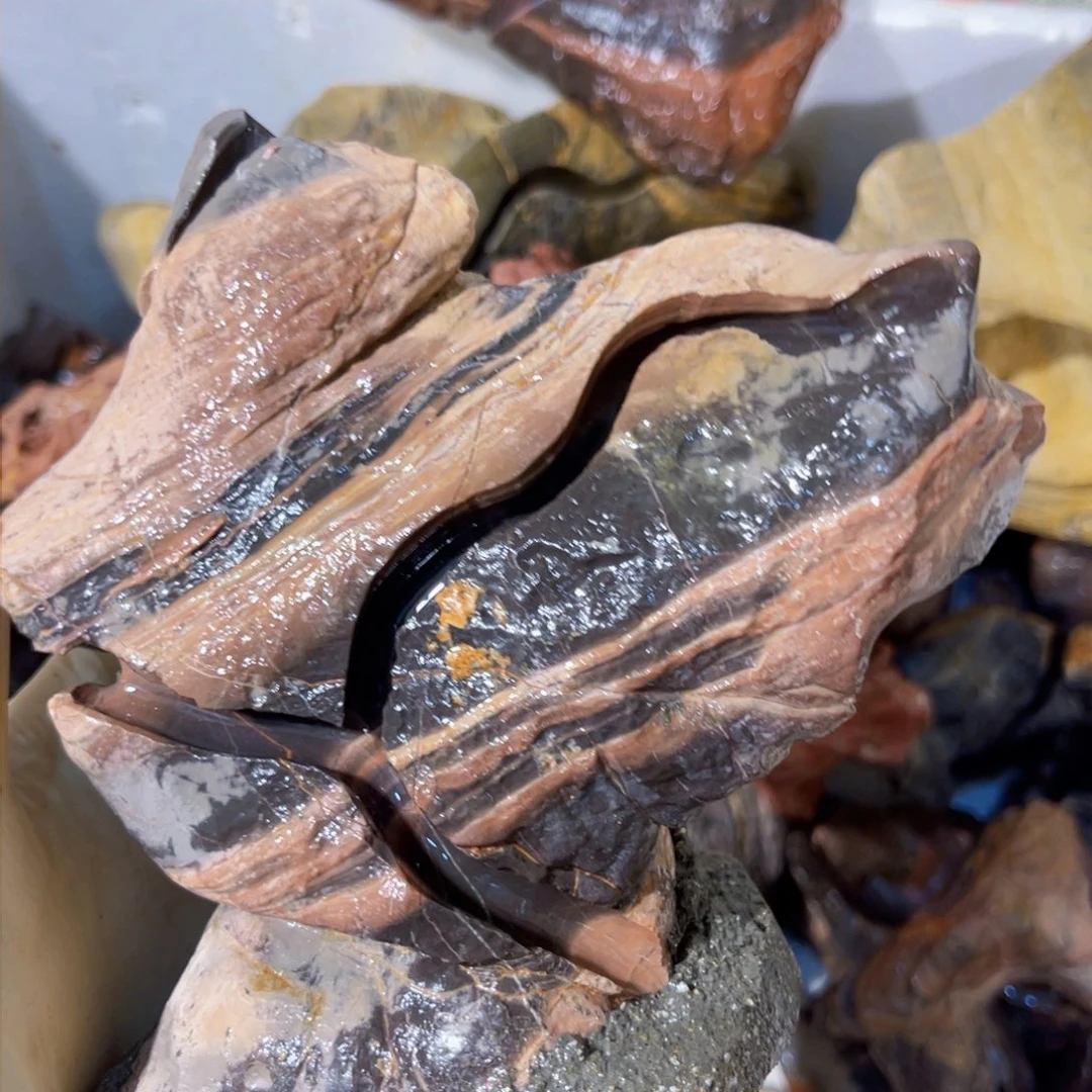 小**.附石盆景一物一拍