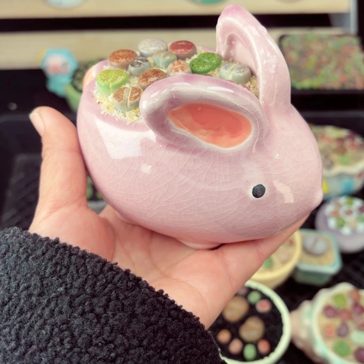 556零下地区记得拍保温箱满18包邮