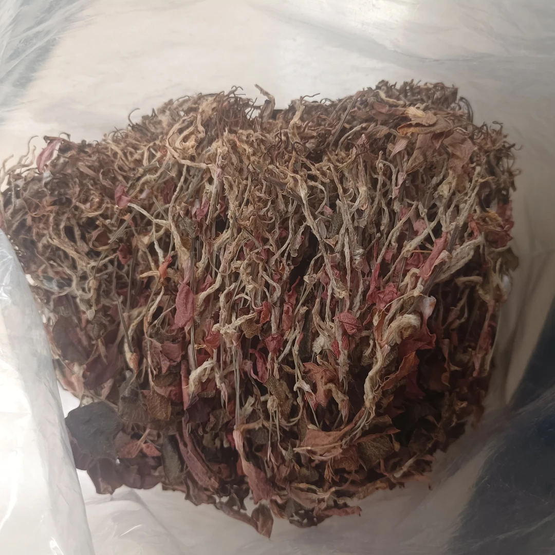 农产品小叶整株500克干品佛冈时时好运种植金线莲