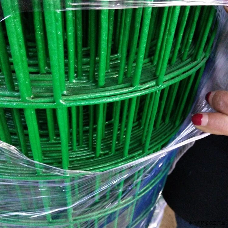 蔷薇月季爬藤铁丝网植物爬墙网格藤曼墙面牵引网园艺爬藤网钢丝