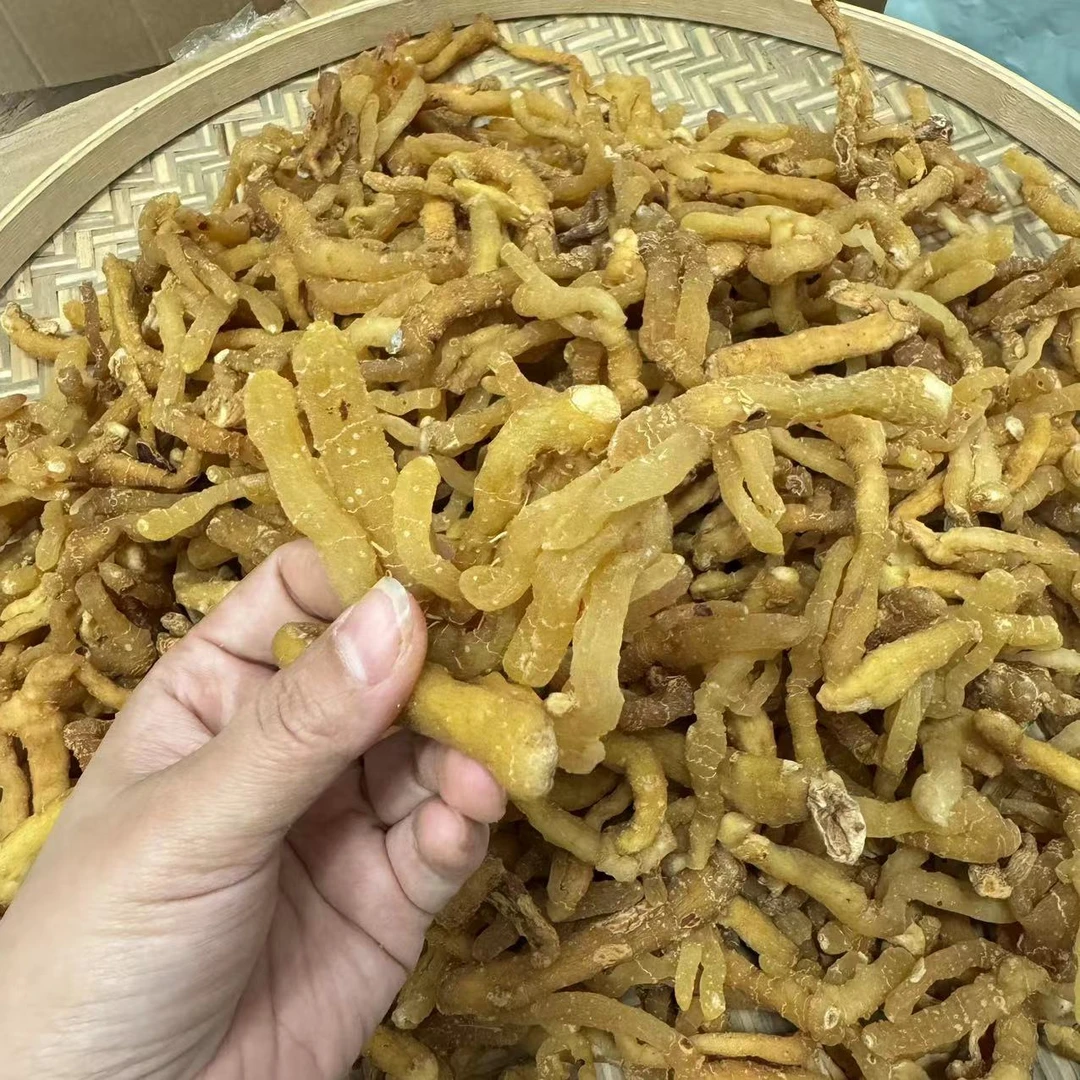 海玉竹 原色货 干货