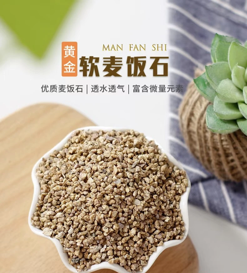 多肉植物铺面石麦饭石