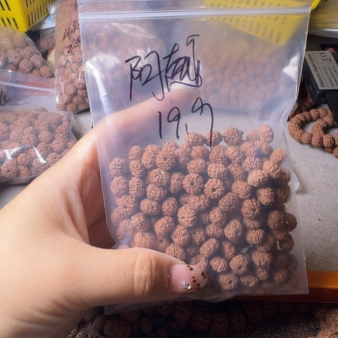 阿***吖金刚菩提吊坠200颗黄尖甲有瑕疵