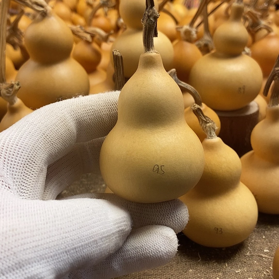 文玩葫芦 完美主义者 慎拍95