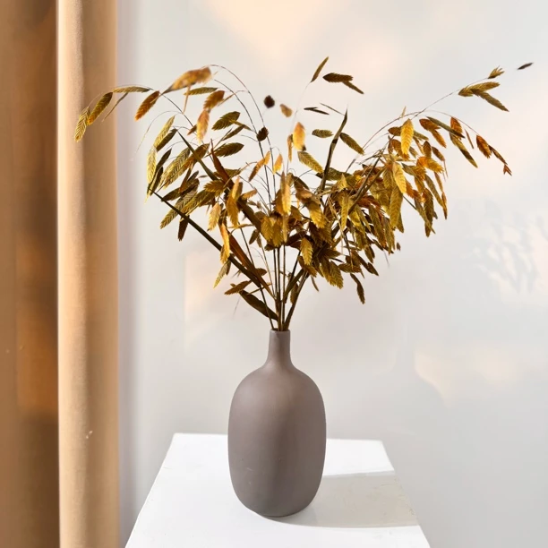 【小盼草】灰色花瓶高级感精致家居永生花