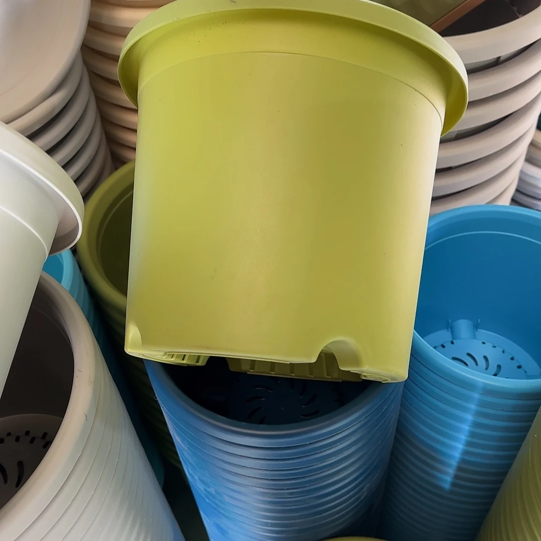 树脂微瑕5号6个无托，果绿