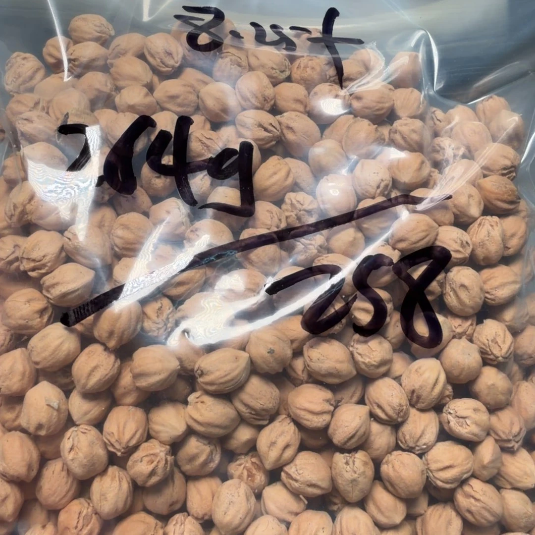 吊坠柏香籽/百香籽第*课