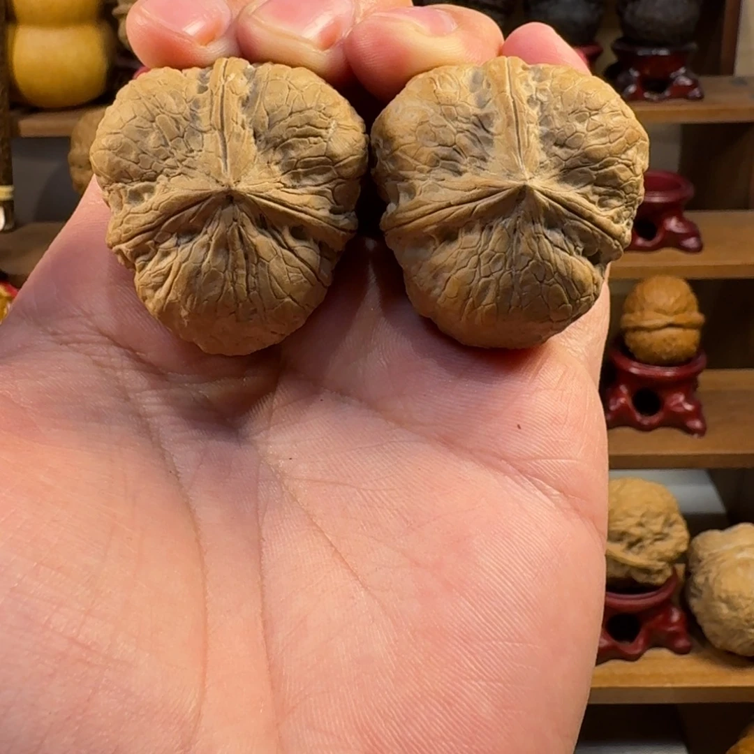 核桃铁核桃把件龙龟甲三棱奔驰