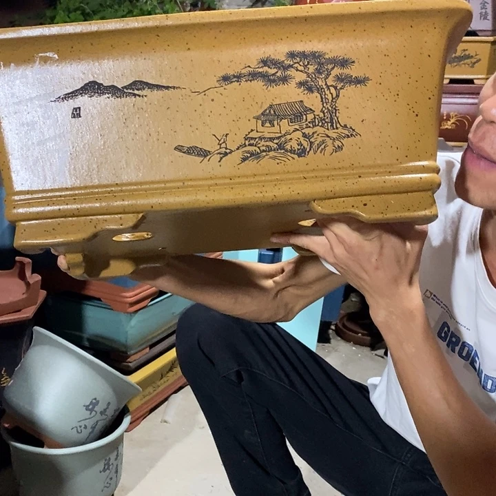 紫砂紫砂紫砂紫砂