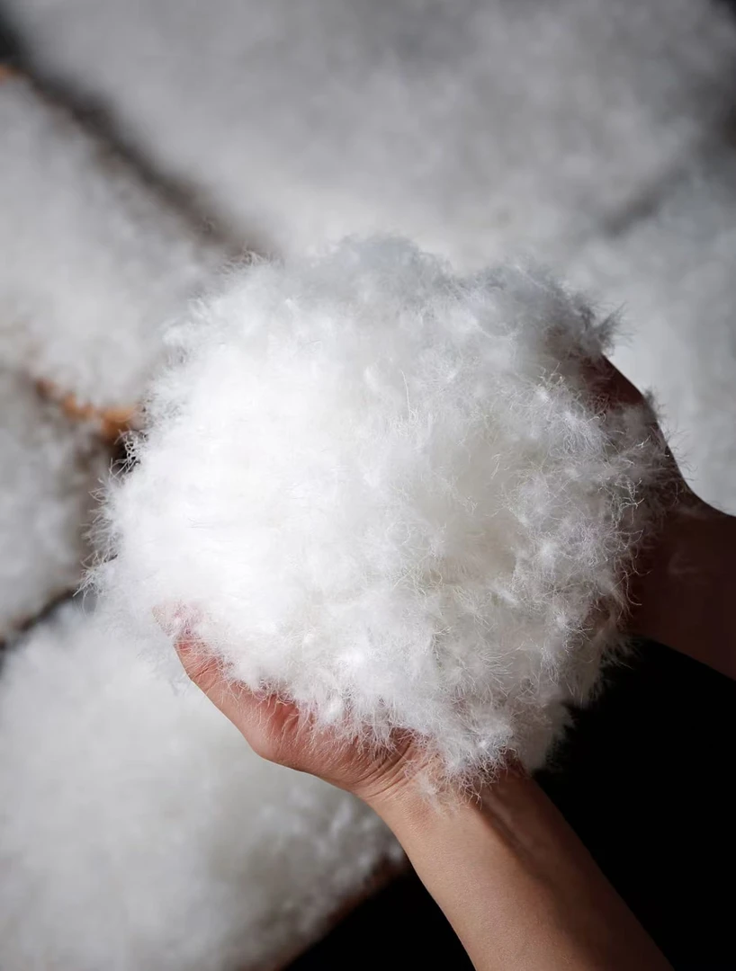 CHEN HENG   鹅绒服（MP）W99129