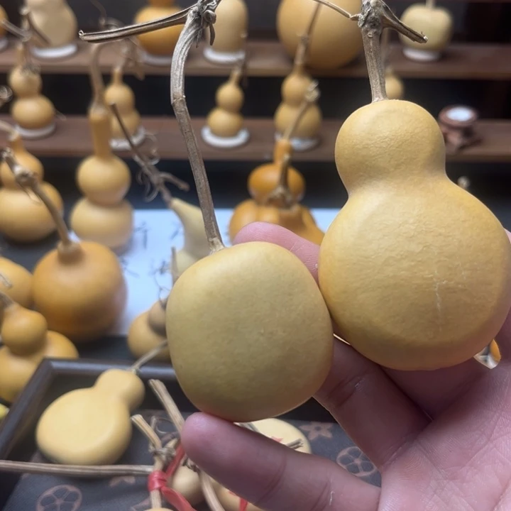 o***e哈哈哈哈哈哈哈哈哈