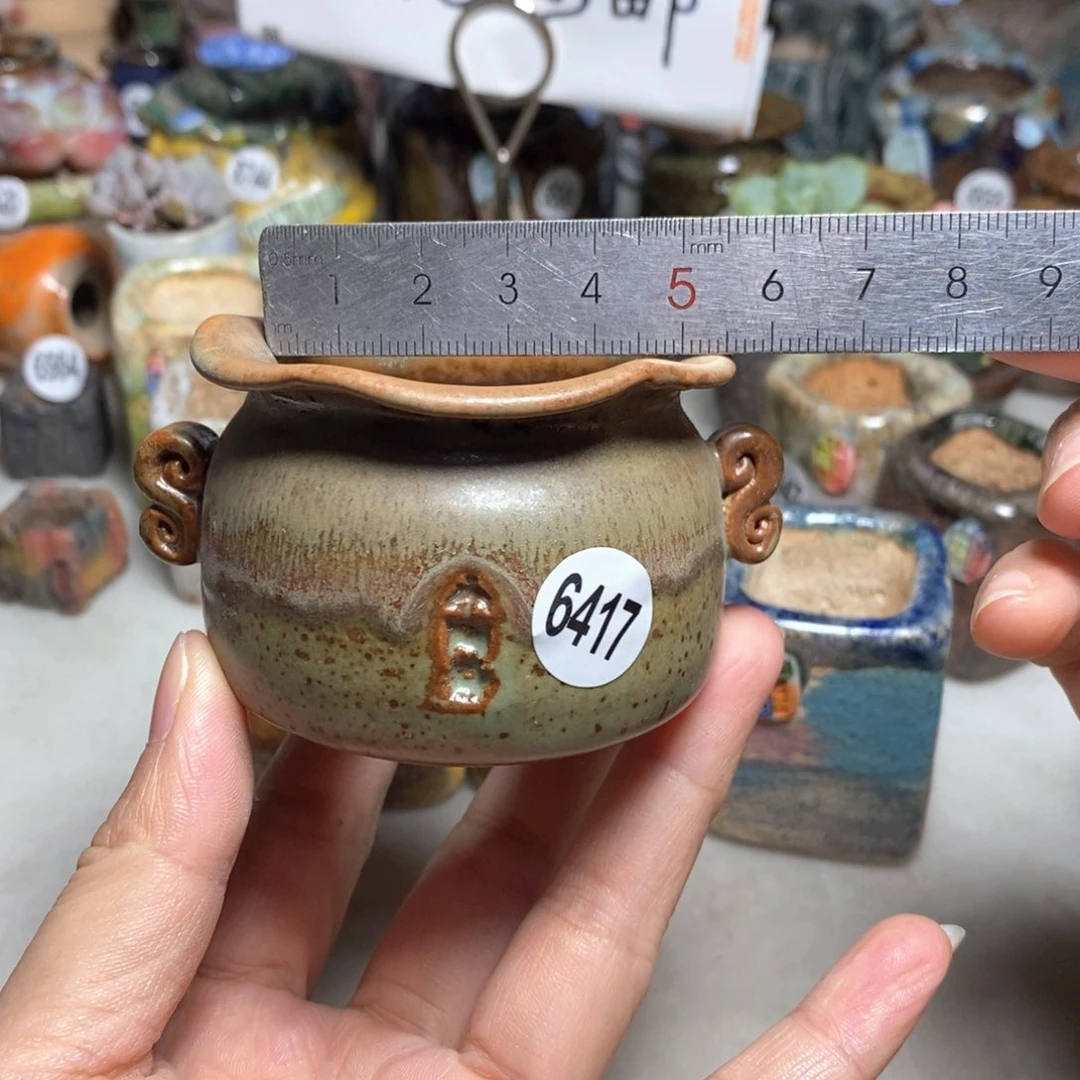 拍5送一个小礼物