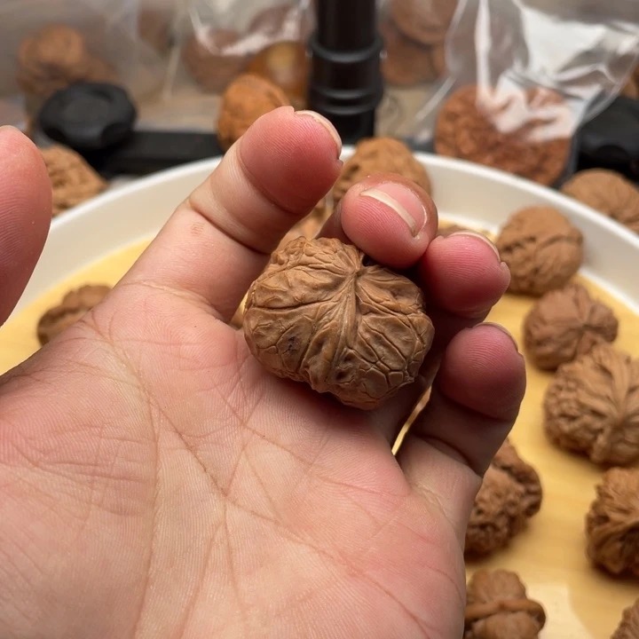 文玩核桃把件李*柏