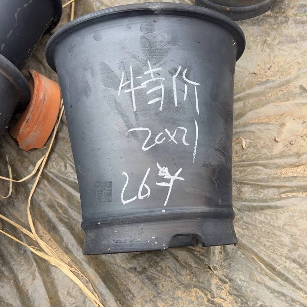 特价直筒口径20高度21