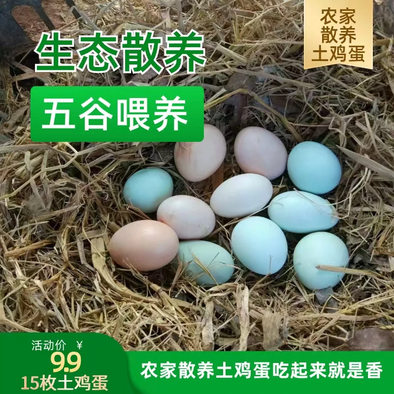 山林散养 农家纯粮喂养跑山土鸡 跑山鸡蛋 15枚 新鲜现捡