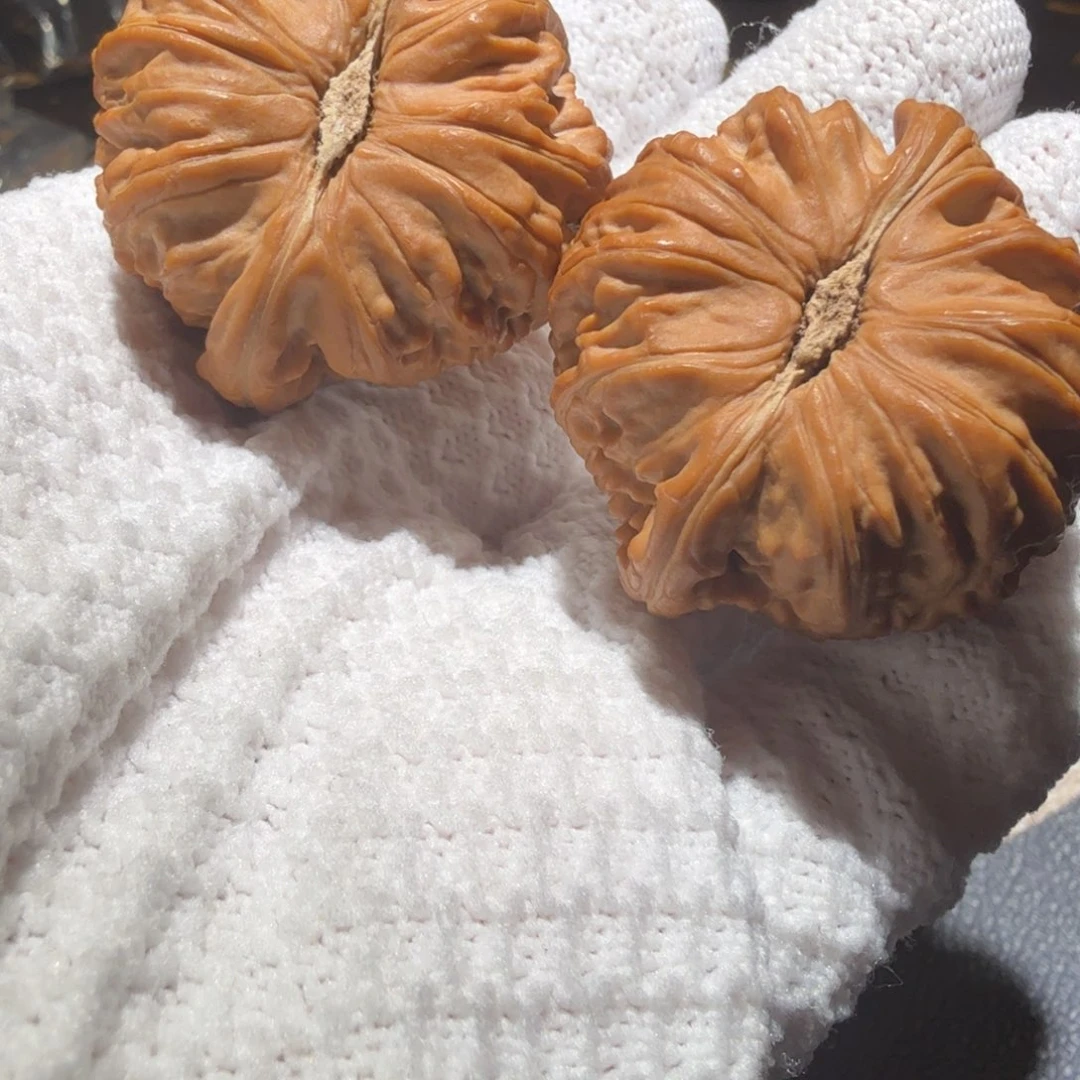 文玩核桃把件白狮子