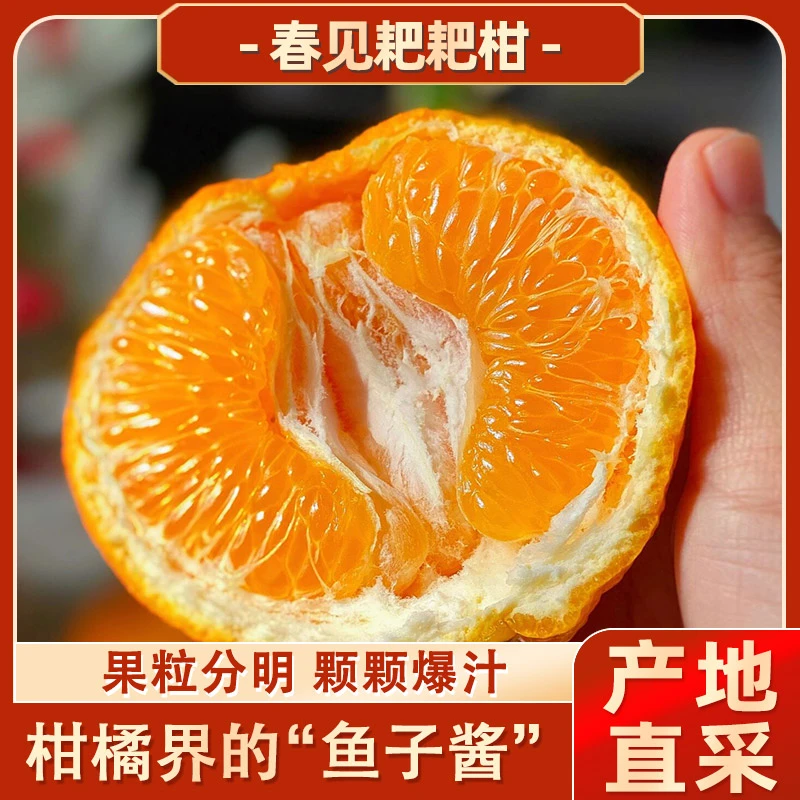 正宗四川春见耙耙柑 粒粒爆汁纯甜柑橘子丑橘新鲜产地直发
