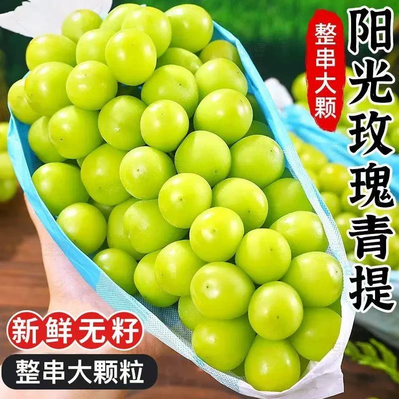 【顺丰次日达】正宗阳光玫瑰香印晴王西昌葡萄现摘现发纯甜无酸【新】四川省