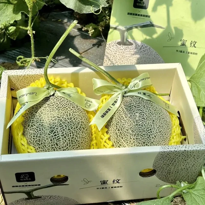 【顺丰精品】海南网纹瓜牛三蜜瓜玲珑瓜新鲜软糯香甜多汁现摘礼盒