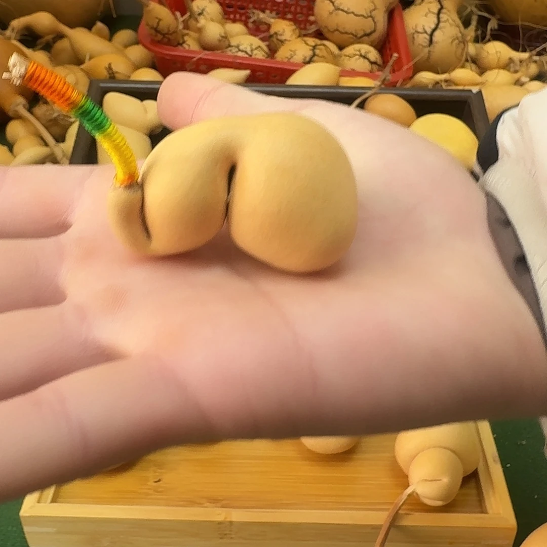 曹***～葫芦1111111111111