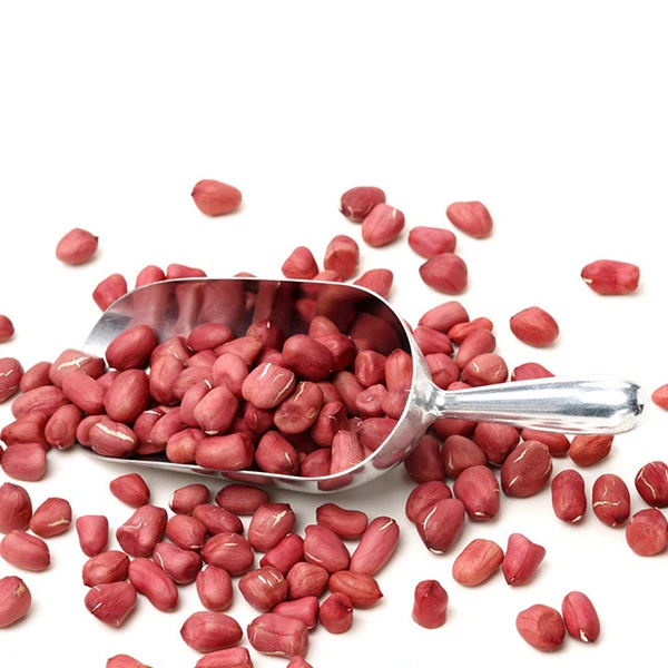 小粒红花生 农家自种