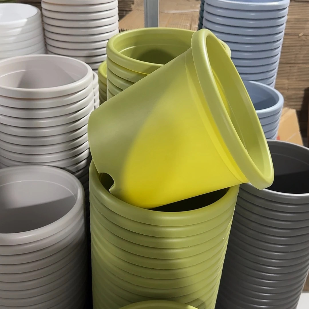 微瑕4号8个带托，果绿