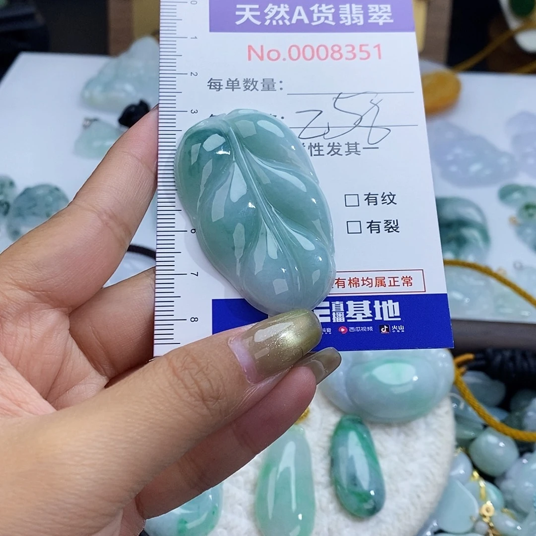 翡翠未镶嵌颈饰8351