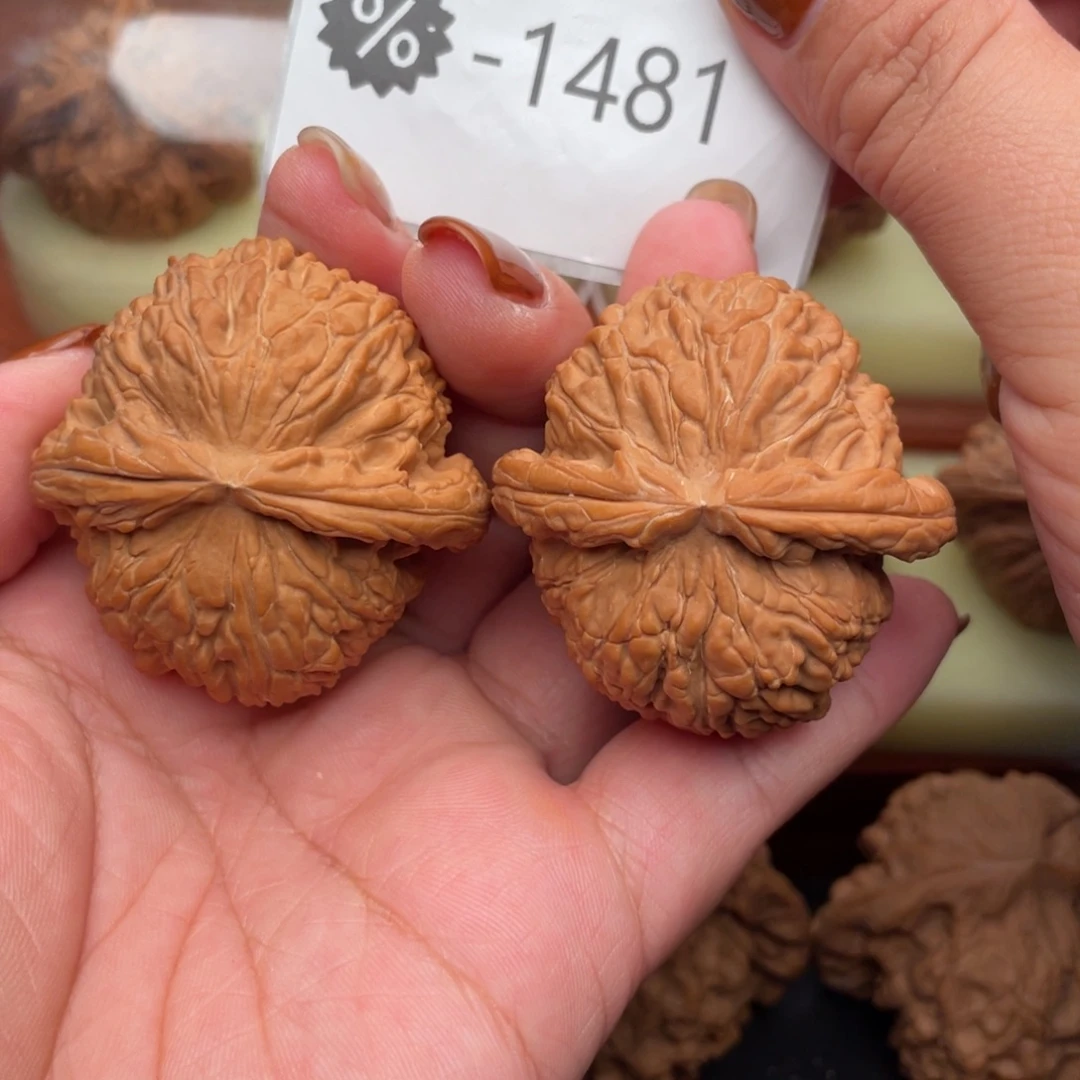 把件文玩核桃45毕业白狮子