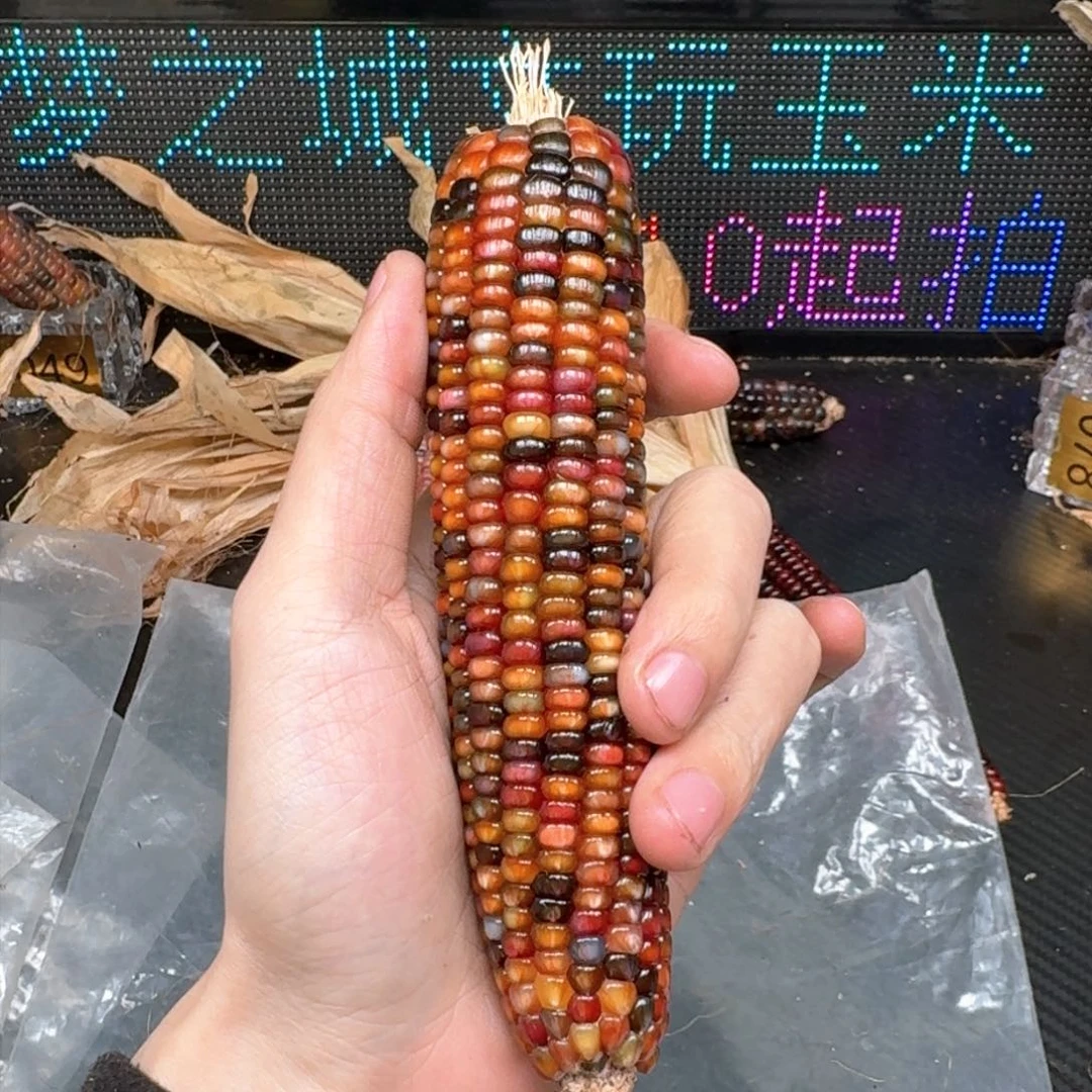 柏香籽/百香籽吊坠柚***檬
