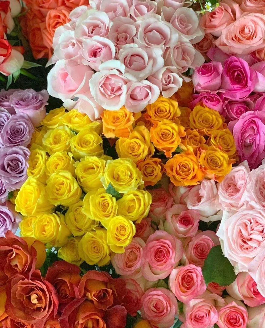 鲜花配草   腊梅粉色1扎 任意两单包邮（少量不售后）