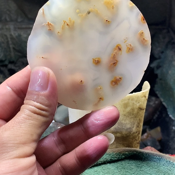定制玛瑙天然玛瑙圆牌一对