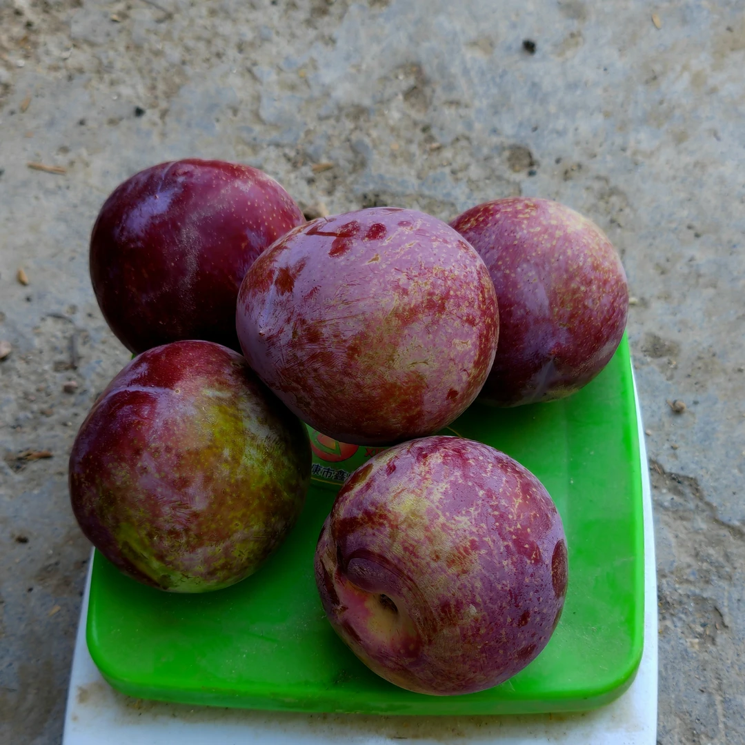 新疆味王现摘脆甜多汁