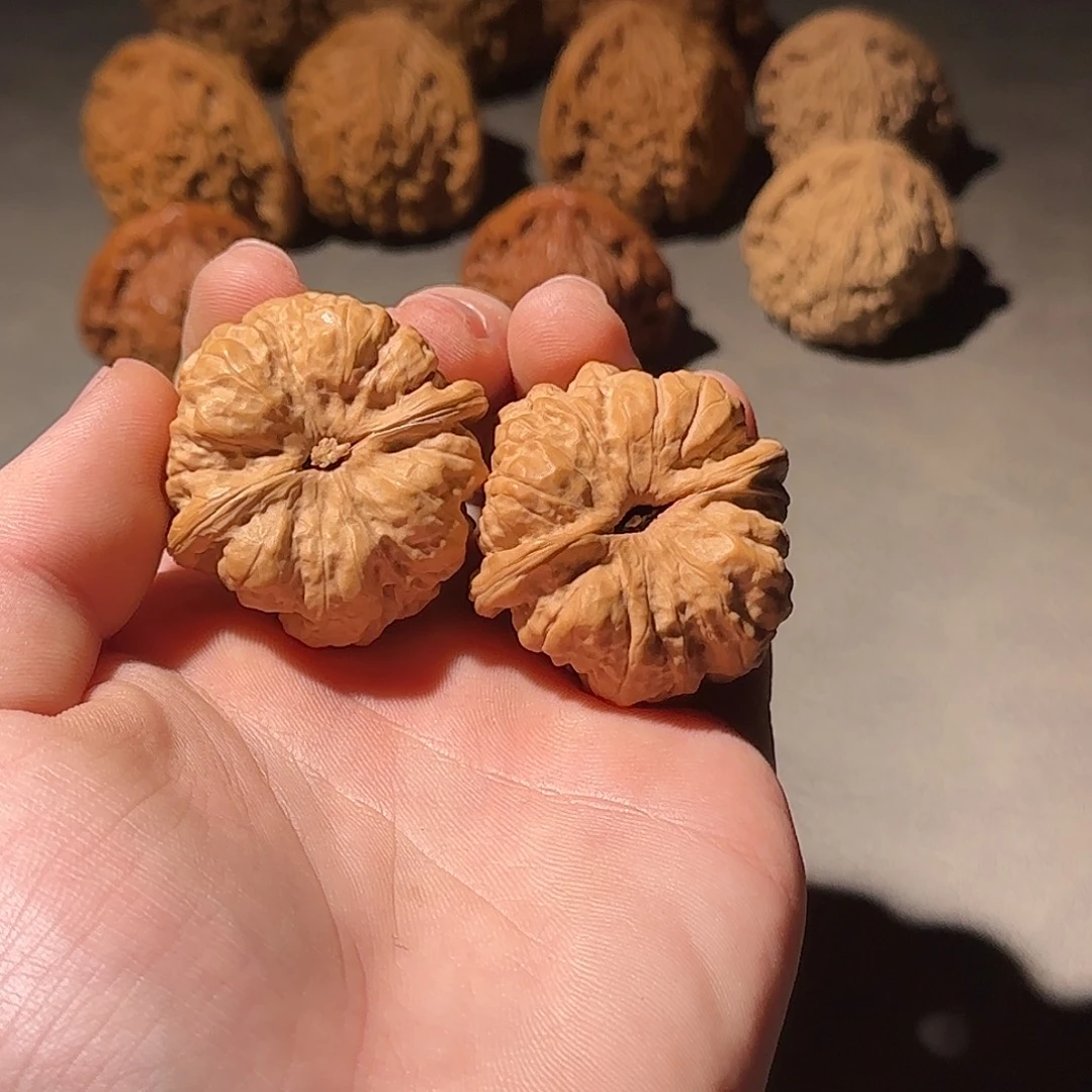 大叶紫檀（黑酸枝木类）