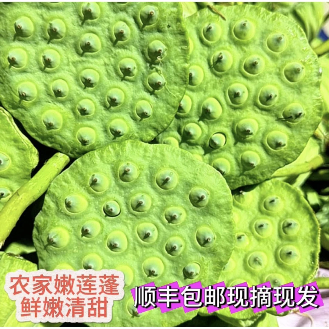 湖南湘潭莲蓬现摘现发甜嫩莲子米生吃清香脆甜应季水果