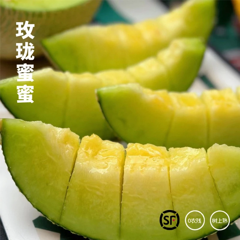 【源头好货】牛三蜜瓜网纹蜜瓜产地直发新鲜现摘当季水果纹软糯蜜瓜