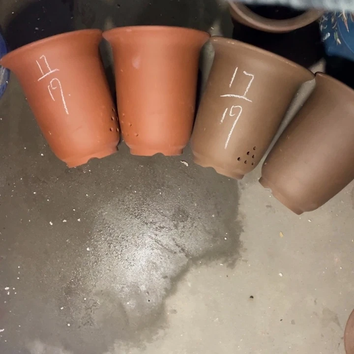 周深周深周深周深周深