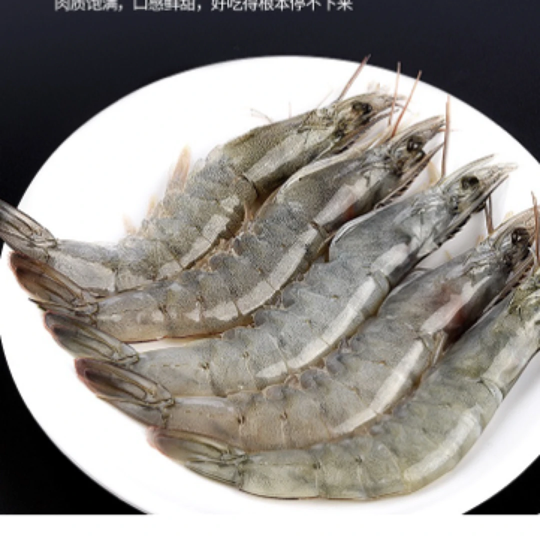 （3+2）5斤海洋大虾13-16厘米/只，13-16只/斤，活虾速冻锁鲜发货