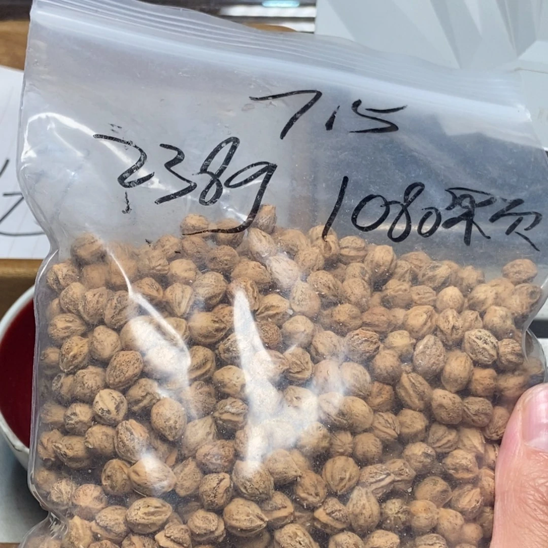 柏香籽/百香籽吊坠