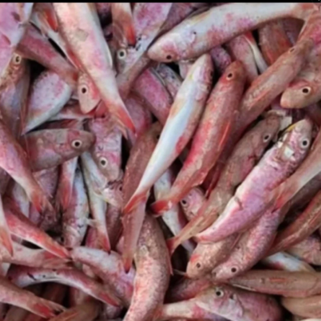 野生红娘鱼 小红鱼 5斤省内包邮