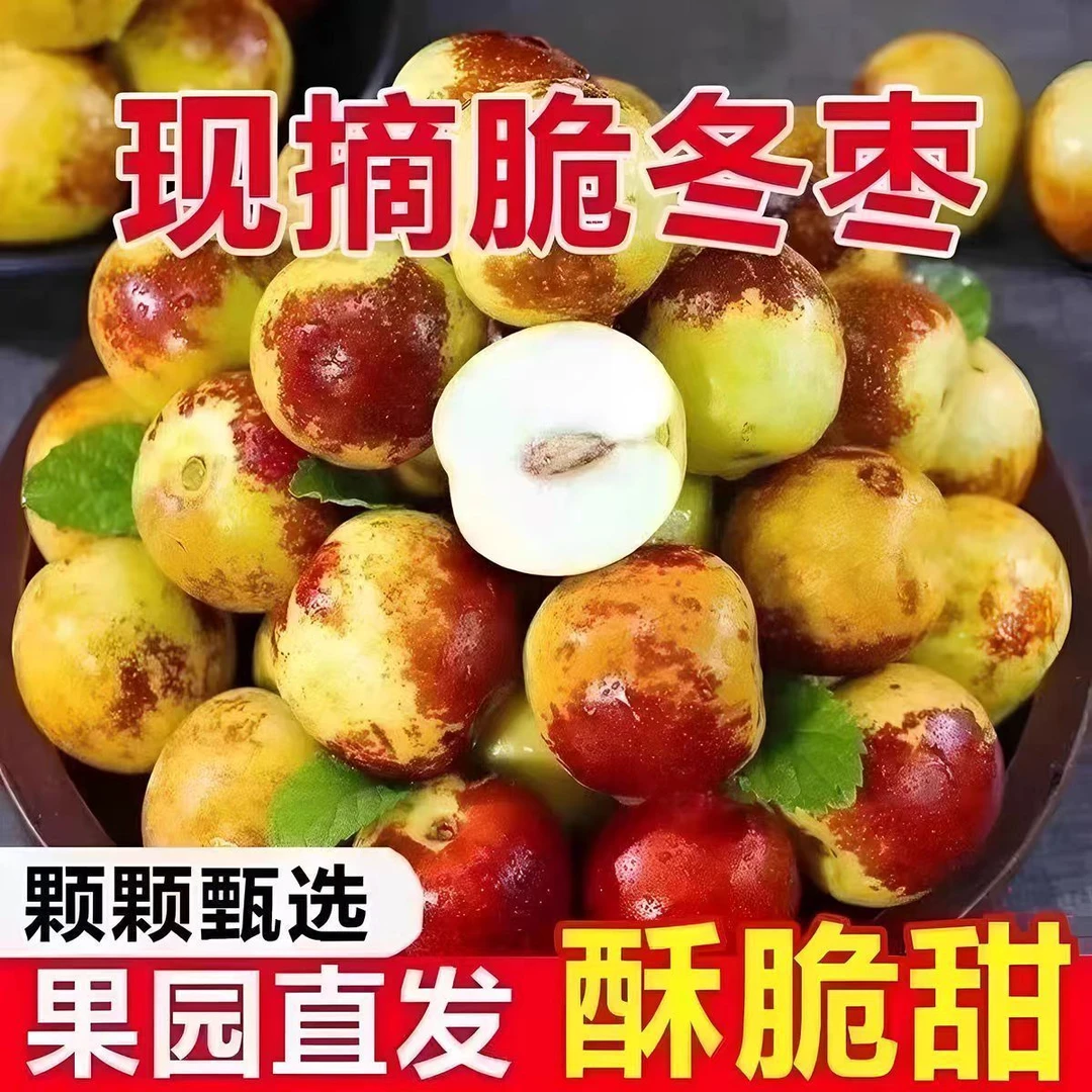 【顺丰包邮】山西庙上出口级正宗冬枣现摘现发脆甜多汁新鲜应季水果