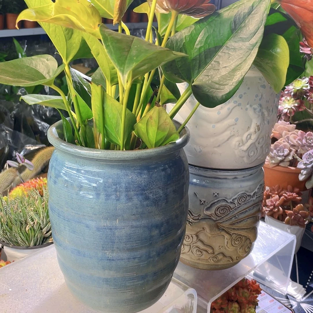 红陶粗陶大花盆一个装