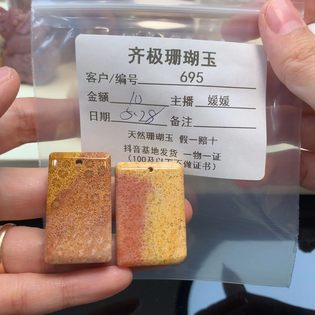 硅化珊瑚（珊瑚玉）未镶嵌颈饰K***n