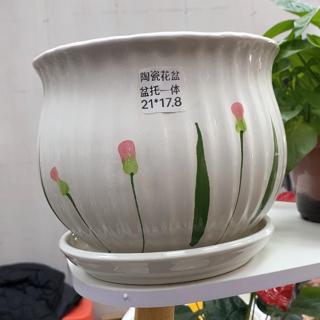 陶瓷@陶瓷花盆@@58383839