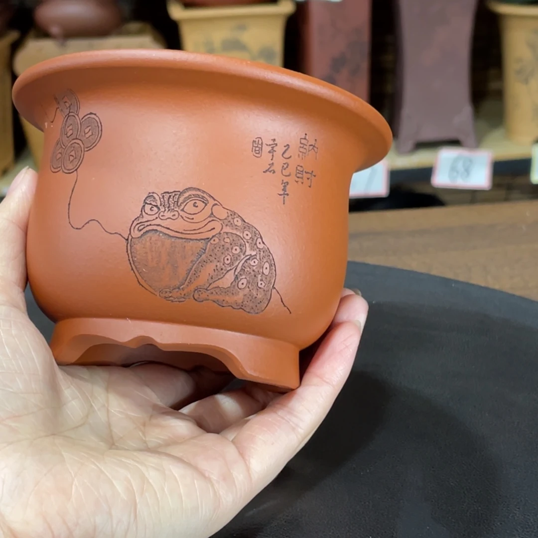 花盆紫砂你就这样