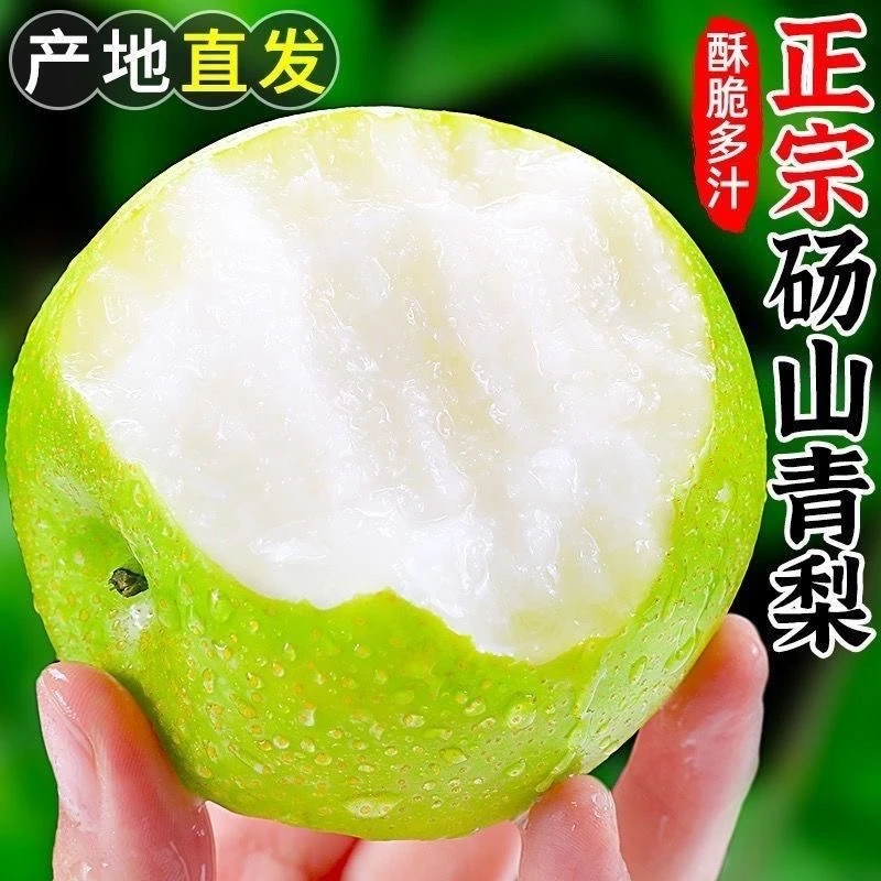 （顺丰）正宗安徽砀山翠冠梨皮薄多汁脆甜无渣5斤大果_新鲜应季0