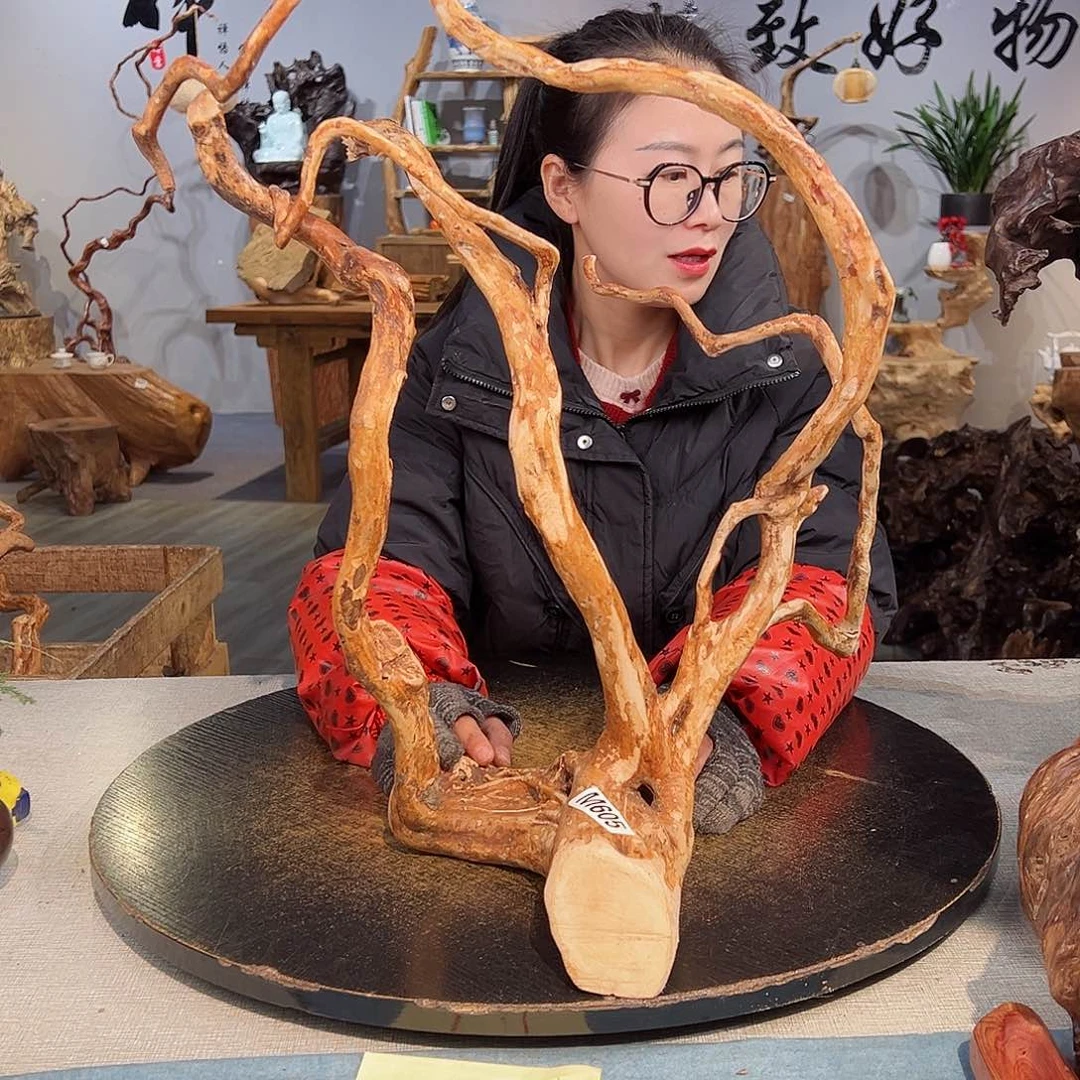 木刺*师605 jghvhvhhhvbb