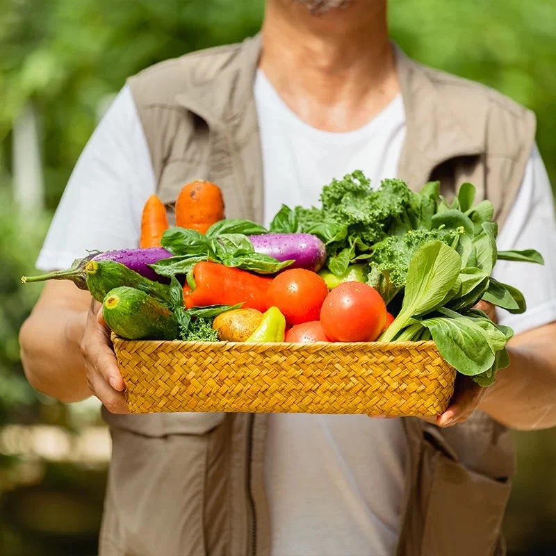【次日达】绿色食品认证本地蔬菜每日现摘现发五斤装当季蔬菜组合（京东包邮）新鲜