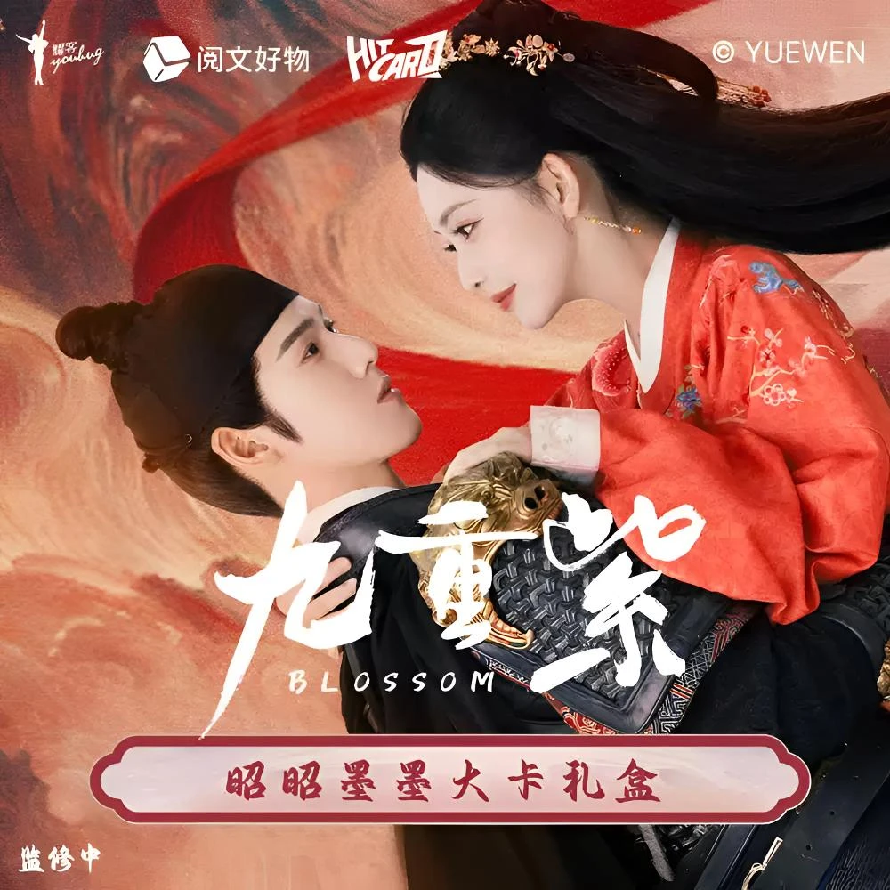 【碰碰】Hitcard阅文正版九重紫昭昭墨墨大卡礼盒收藏卡牌卡片周边