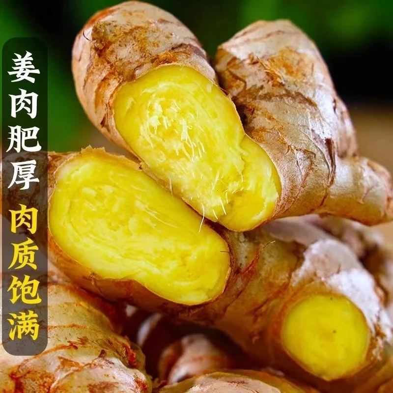 【出口级精选】云南老姜生姜月子姜辛辣十足小黄姜老姜3斤装