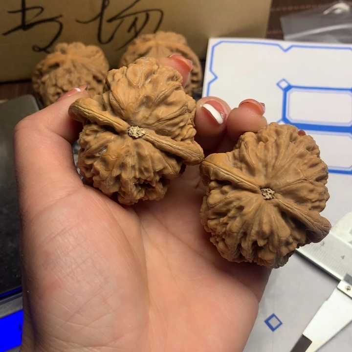 吊坠文玩核桃?**?粗筋